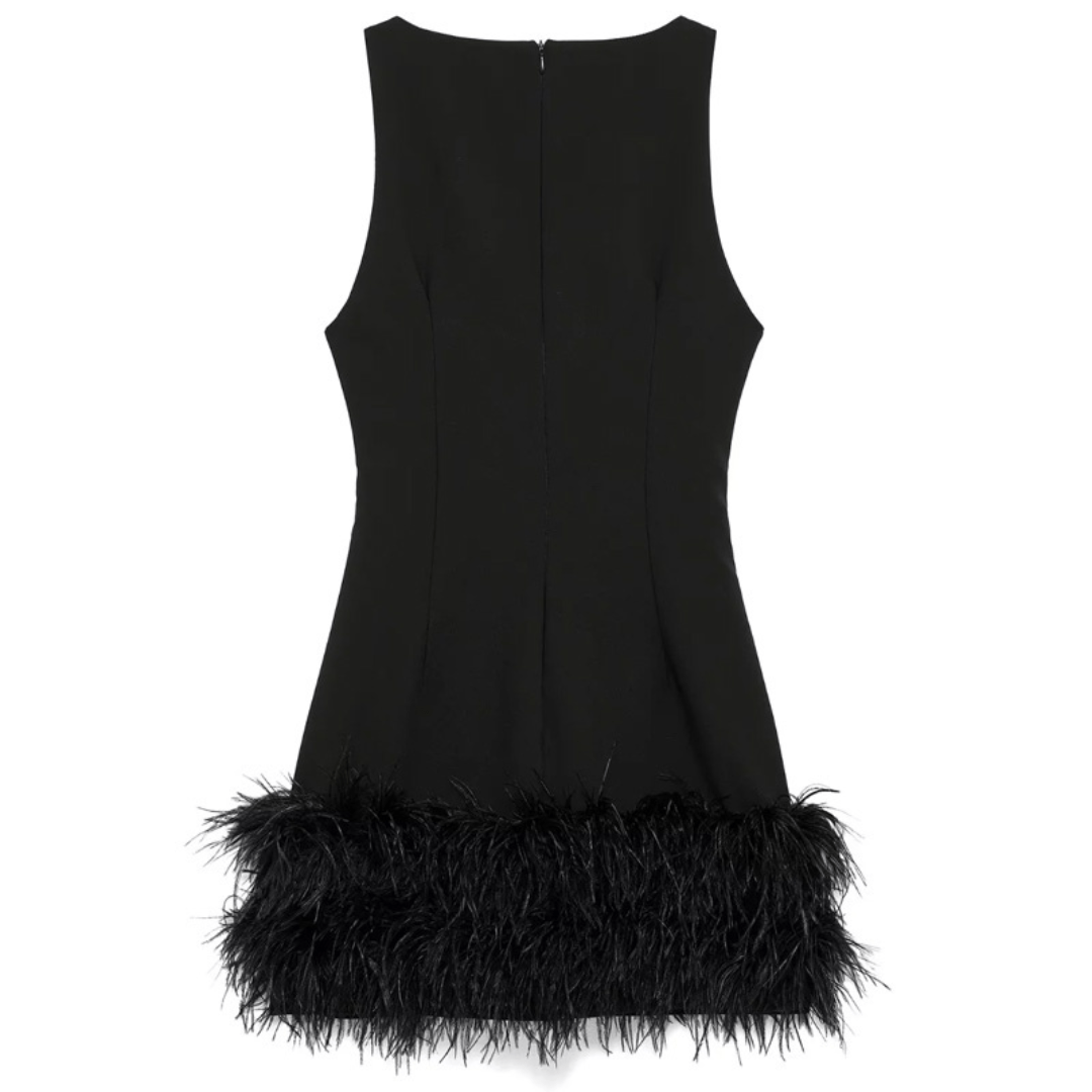Feather Dress - My Store
