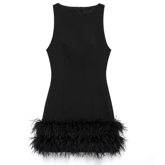Feather Dress - My Store