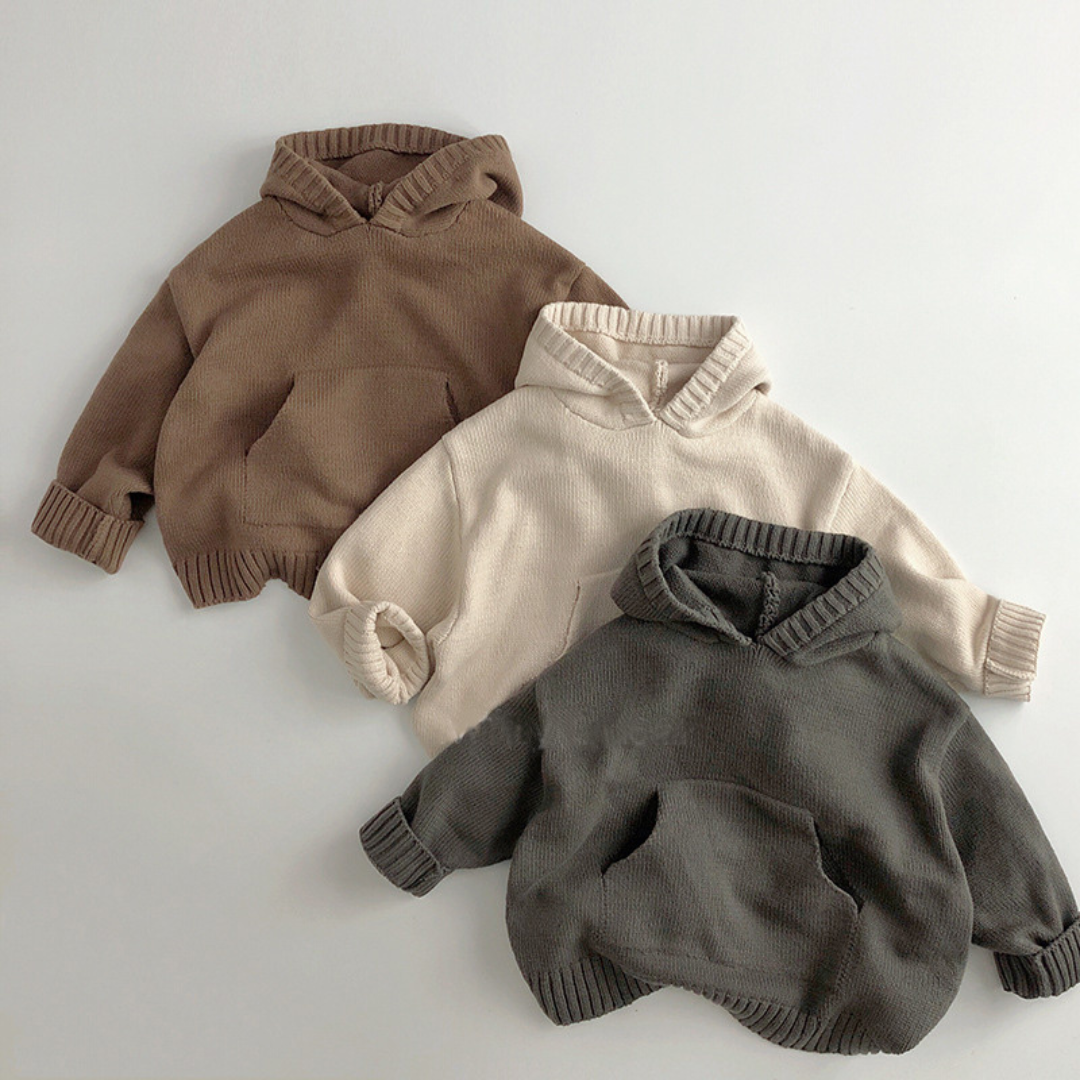 Kapuzenpullover Lion
