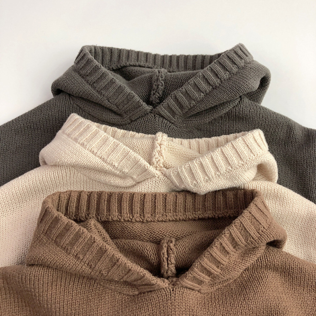 Kapuzenpullover Lion