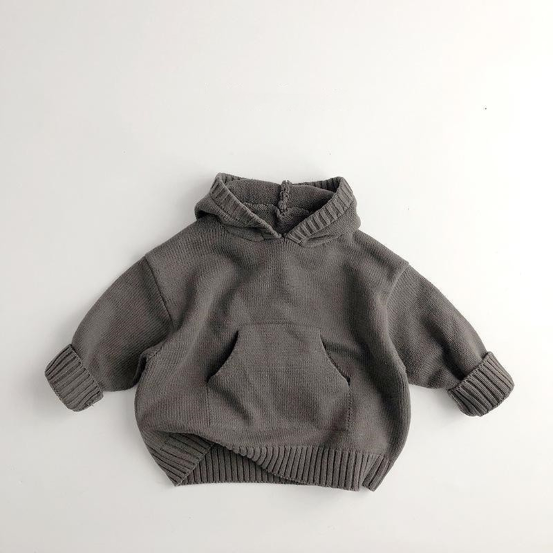 Kapuzenpullover Lion