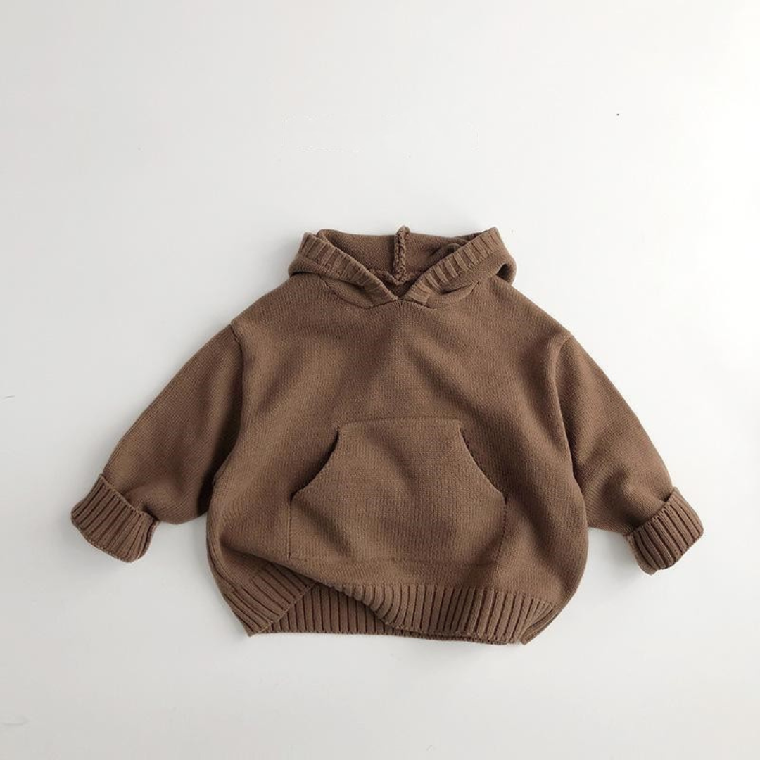 Kapuzenpullover Lion